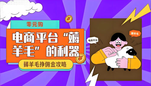 我又在网上零元购了